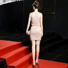 Sequin Fringe Mini Dress