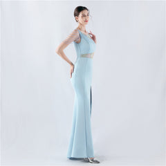 Embroidered Sheer Mesh Maxi Dress