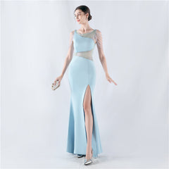 Embroidered Sheer Mesh Maxi Dress