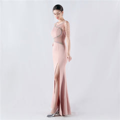 Embroidered Sheer Mesh Maxi Dress