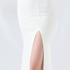 Embroidered Sheer Mesh Maxi Dress