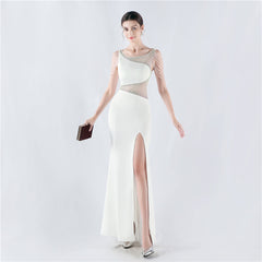 Embroidered Sheer Mesh Maxi Dress