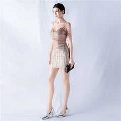 Sequined Bodycon Dress