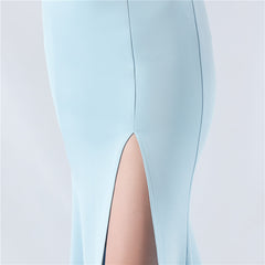 Embroidered Sheer Mesh Maxi Dress