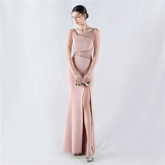 Embroidered Sheer Mesh Maxi Dress