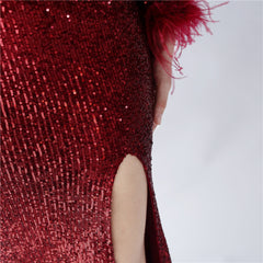 Ostrich Feather Sequin Maxi Dress